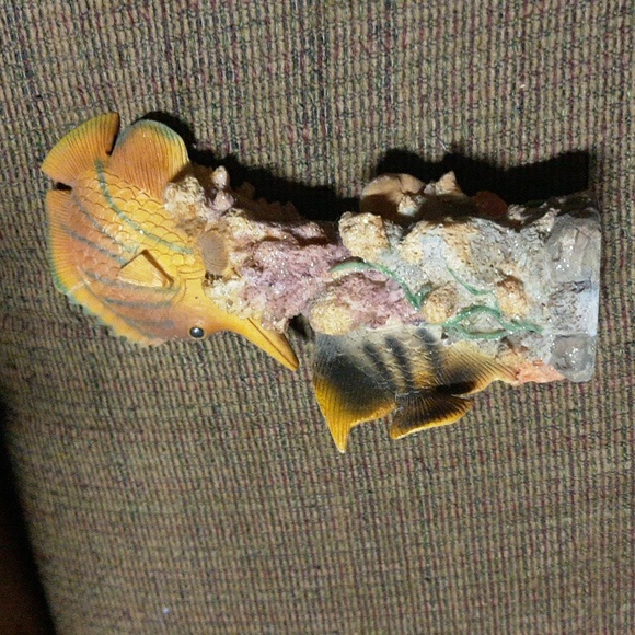 Fish what knot😇 - Picture 4 of 7